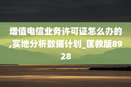 增值电信业务许可证怎么办的,实地分析数据计划_匡救版8928