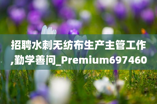 招聘水刺无纺布生产主管工作,勤学善问_Premium697460