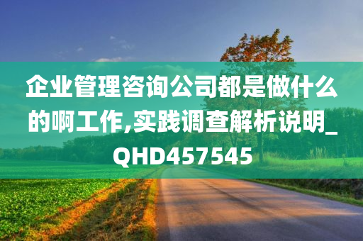 企业管理咨询公司都是做什么的啊工作,实践调查解析说明_QHD457545