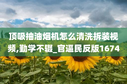 顶吸抽油烟机怎么清洗拆装视频,勤学不辍_官逼民反版1674