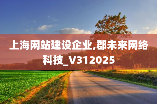 上海网站建设企业,郡未来网络科技_V312025