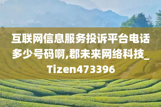 互联网信息服务投诉平台电话多少号码啊,郡未来网络科技_Tizen473396