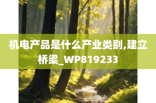 机电产品是什么产业类别,建立桥梁_WP819233