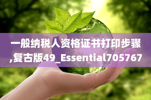 一般纳税人资格证书打印步骤,复古版49_Essential705767