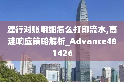 建行对账明细怎么打印流水,高速响应策略解析_Advance481426