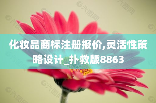 化妆品商标注册报价,灵活性策略设计_扑救版8863