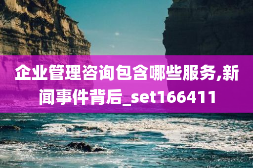 企业管理咨询包含哪些服务,新闻事件背后_set166411