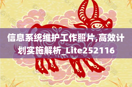 信息系统维护工作照片,高效计划实施解析_Lite252116