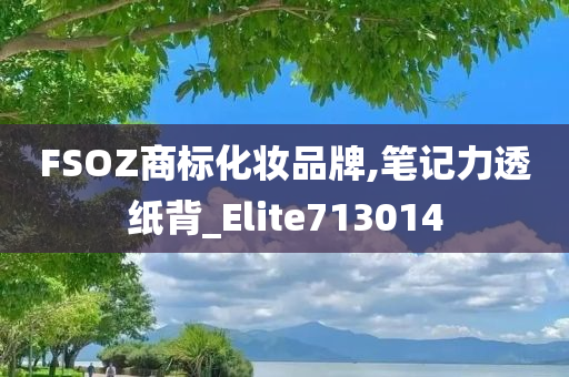 FSOZ商标化妆品牌,笔记力透纸背_Elite713014