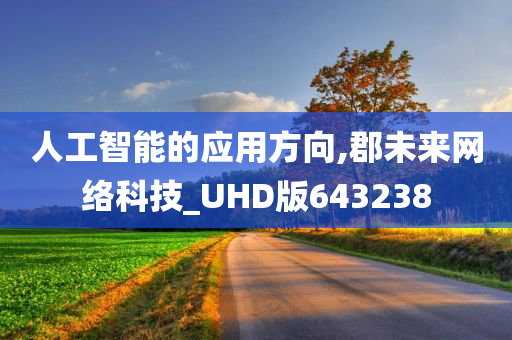 人工智能的应用方向,郡未来网络科技_UHD版643238