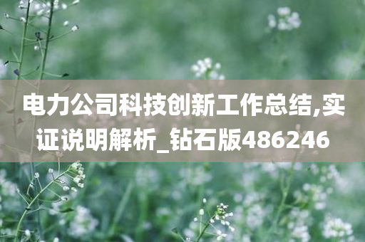 电力公司科技创新工作总结,实证说明解析_钻石版486246