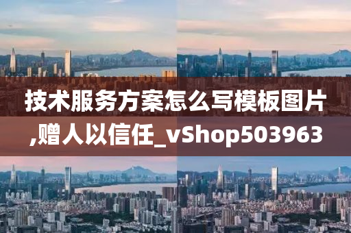 技术服务方案怎么写模板图片,赠人以信任_vShop503963