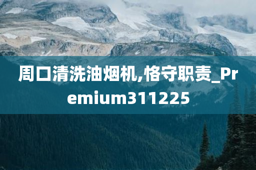 周口清洗油烟机,恪守职责_Premium311225