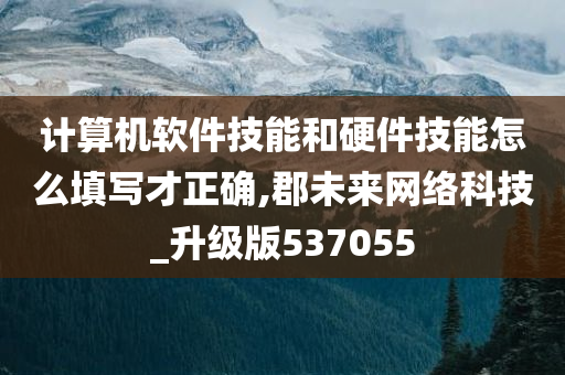 计算机软件技能和硬件技能怎么填写才正确,郡未来网络科技_升级版537055