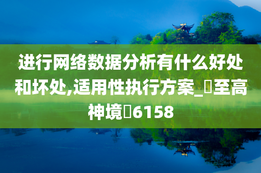 进行网络数据分析有什么好处和坏处,适用性执行方案_‌至高神境‌6158