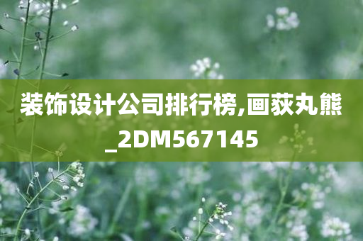 装饰设计公司排行榜,画荻丸熊_2DM567145