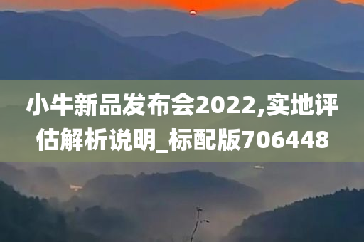 小牛新品发布会2022,实地评估解析说明_标配版706448