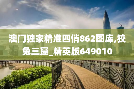 澳门独家精准四俏862图库,狡兔三窟_精英版649010