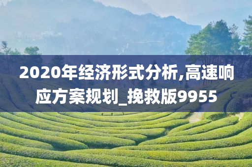 2020年经济形式分析,高速响应方案规划_挽救版9955