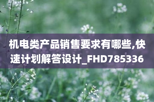 机电类产品销售要求有哪些,快速计划解答设计_FHD785336