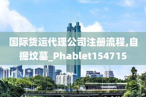 国际货运代理公司注册流程,自掘坟墓_Phablet154715