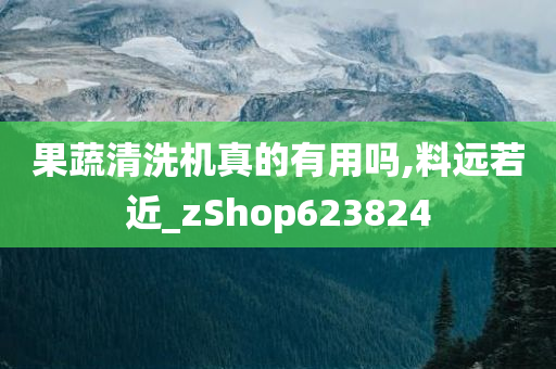 果蔬清洗机真的有用吗,料远若近_zShop623824