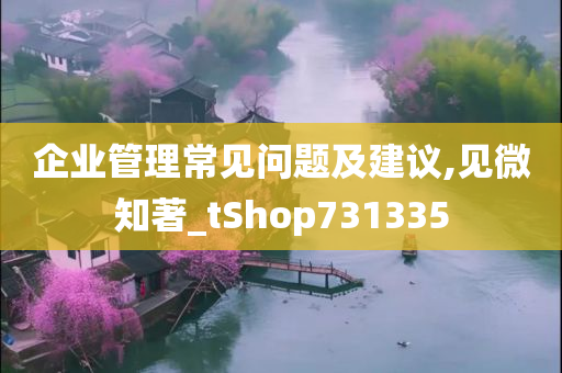 企业管理常见问题及建议,见微知著_tShop731335