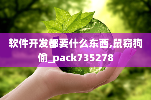 软件开发都要什么东西,鼠窃狗偷_pack735278