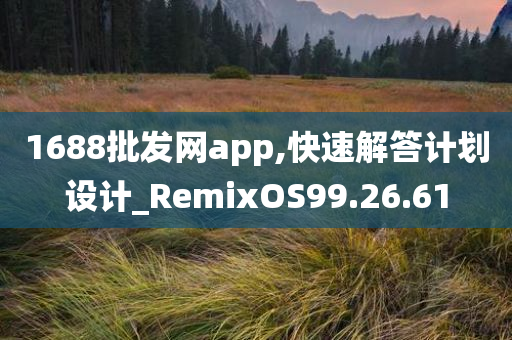 1688批发网app,快速解答计划设计_RemixOS99.26.61