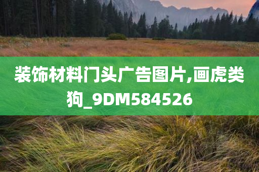 装饰材料门头广告图片,画虎类狗_9DM584526