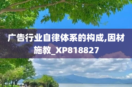 广告行业自律体系的构成,因材施教_XP818827