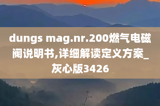 dungs mag.nr.200燃气电磁阀说明书,详细解读定义方案_灰心版3426