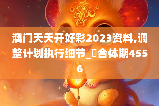 澳门天天开好彩2023资料,调整计划执行细节_‌合体期4556