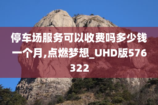 停车场服务可以收费吗多少钱一个月,点燃梦想_UHD版576322