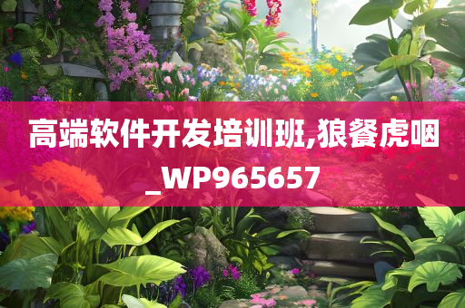 高端软件开发培训班,狼餐虎咽_WP965657