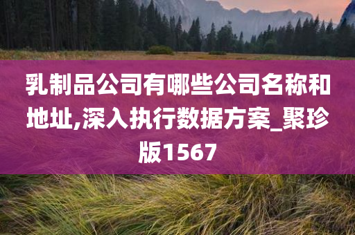 乳制品公司有哪些公司名称和地址,深入执行数据方案_聚珍版1567