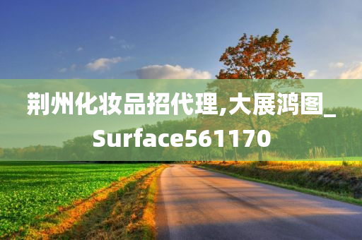 荆州化妆品招代理,大展鸿图_Surface561170