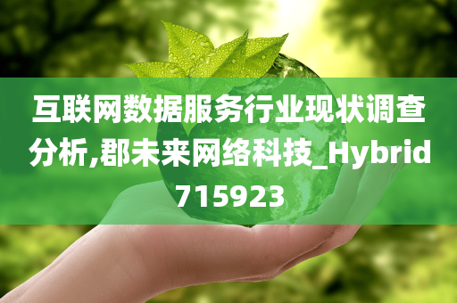 互联网数据服务行业现状调查分析,郡未来网络科技_Hybrid715923