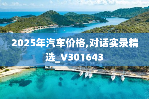 2025年汽车价格,对话实录精选_V301643