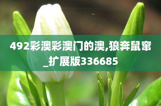 492彩澳彩澳门的澳,狼奔鼠窜_扩展版336685