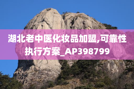 湖北老中医化妆品加盟,可靠性执行方案_AP398799