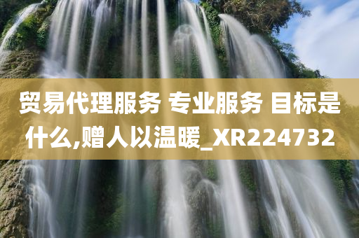 贸易代理服务 专业服务 目标是什么,赠人以温暖_XR224732