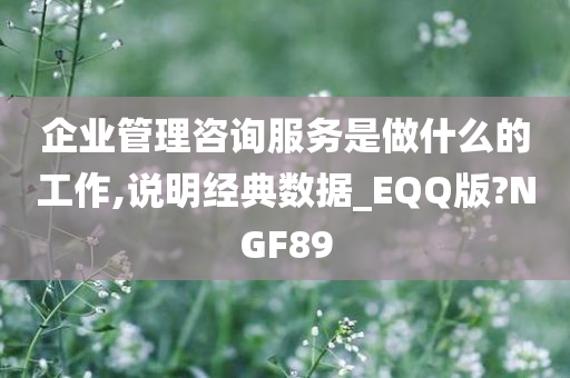 企业管理咨询服务是做什么的工作,说明经典数据_EQQ版?NGF89