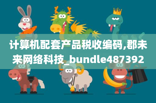 计算机配套产品税收编码,郡未来网络科技_bundle487392