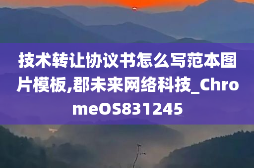 技术转让协议书怎么写范本图片模板,郡未来网络科技_ChromeOS831245