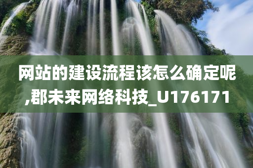 网站的建设流程该怎么确定呢,郡未来网络科技_U176171