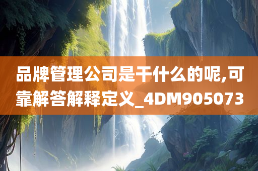 品牌管理公司是干什么的呢,可靠解答解释定义_4DM905073