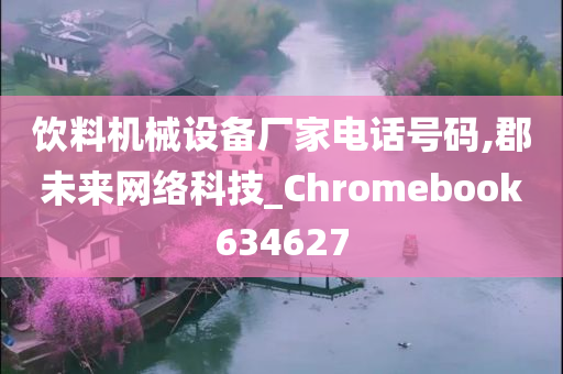 饮料机械设备厂家电话号码,郡未来网络科技_Chromebook634627