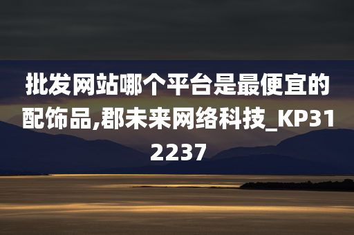 批发网站哪个平台是最便宜的配饰品,郡未来网络科技_KP312237