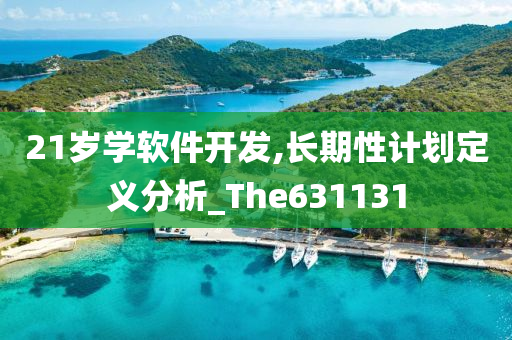 21岁学软件开发,长期性计划定义分析_The631131